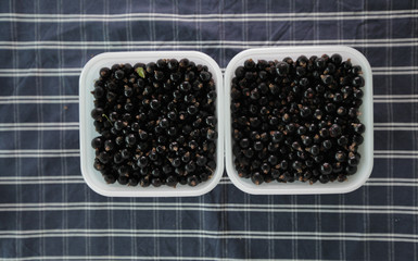 Black currants in a bowl