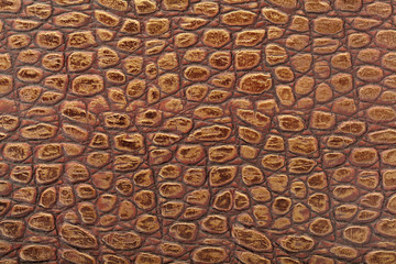 Reptile leather texture background