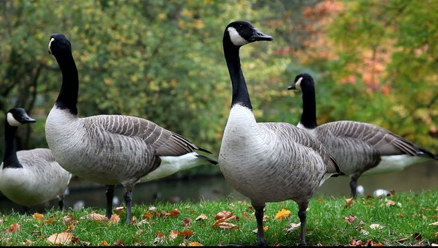 nature couleurs