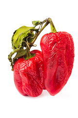 decaying bell pepper