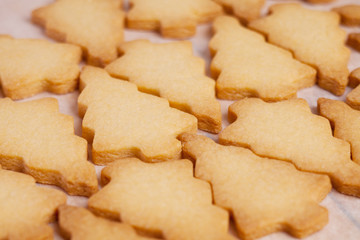 Knusprige Butterplätzchen