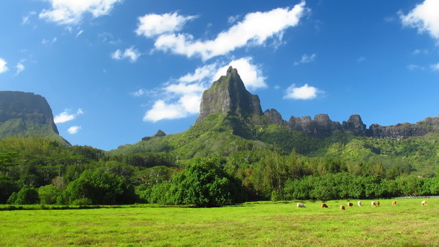 Time Lapse Valley on Moorea, French Polynesia