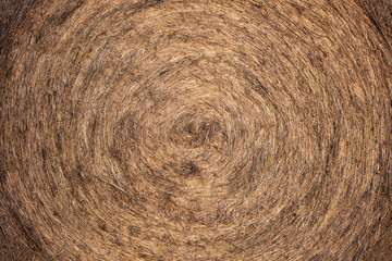 Hay