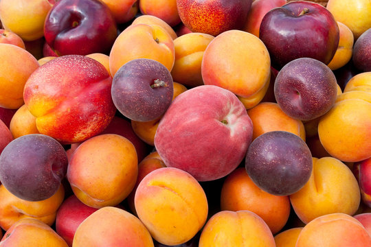 Pile of colorful fruits.