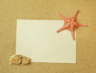 starfish and shells with frame on the beach, vacation memories