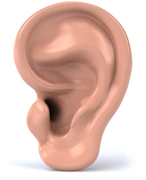 Oreille