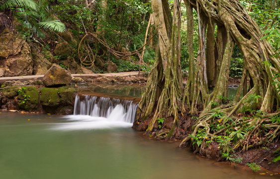 Fototapeta Tropical forest waterfalls.