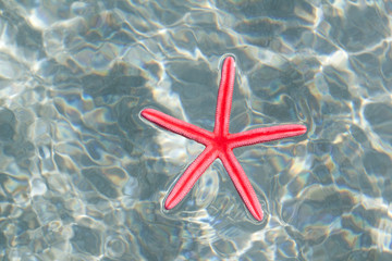 Fototapeta na wymiar Red starfish floating in white sand beach