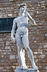 Replica of Michelangelo's David