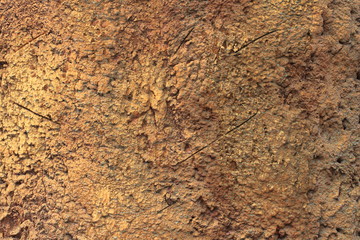 Поверхность с известковыми нарост