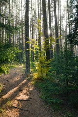 Fototapeta premium Beautiful landscape from Bulgaria