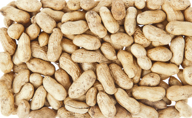 Peanut background