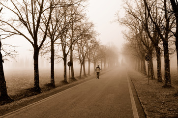 Obraz premium Walking in the fog