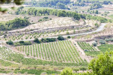 landscape at Coll del Moro, Catalonia, Spain