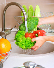 Fresh Vegetables Washing