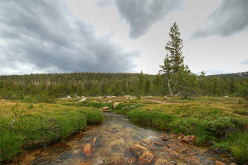 In the river - hdr image