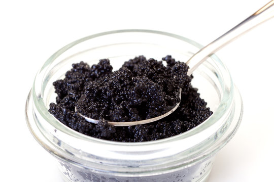 Black caviar on a spoon, white background