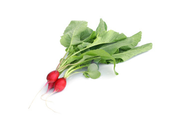 Fresh radishes