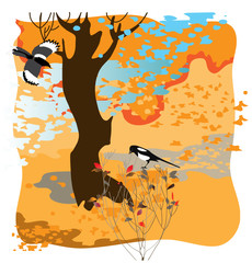 Two magpies on the  autumn landscape