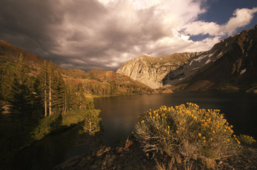 Landscape: Tioga Pass - Yosemite Park - California