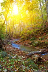 autumn canyon by a sunny day