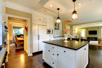 Luxury white large modern kitchen.