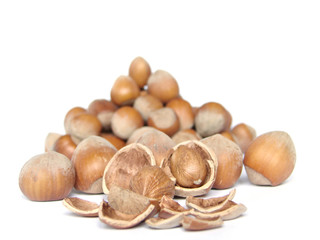 hazelnuts