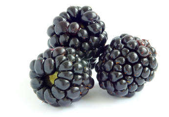 blackberry