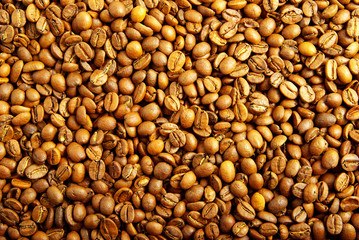 coffe beans