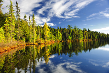 Forest reflecting in lake - obrazy, fototapety, plakaty