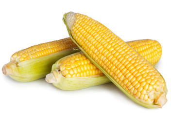Fresh corn