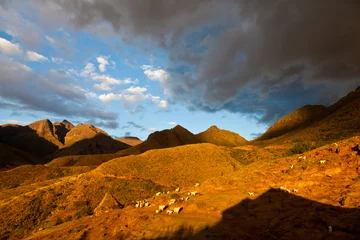 Fotobehang Mountain valley lit by evening sun © pwollinga
