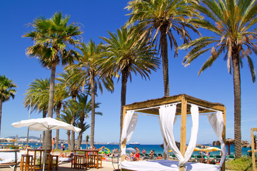 Ibiza Platja En bossa beach with palm trees