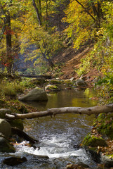 Autumn landscape 8