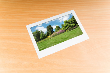 Fototapeta premium Picture frames with nature photos