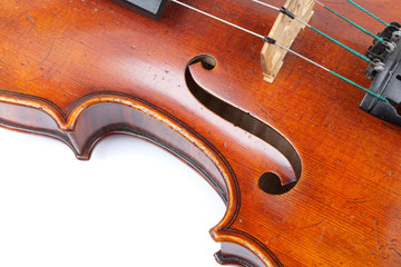 violin