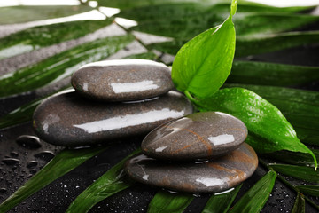 Fototapeta na wymiar spa stones with water drops on palm leaf on black background