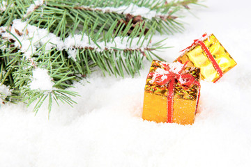 Fototapeta na wymiar branch of Christmas tree with box gift golden