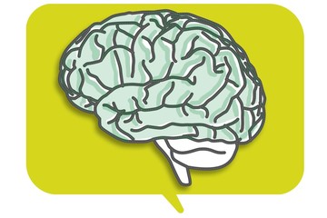 brain