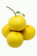 pomelo grapefruit
