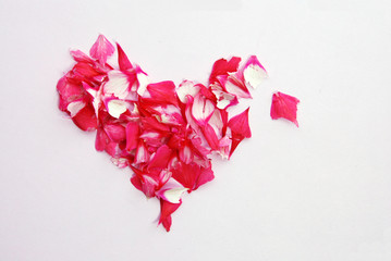 Torn heart of petals