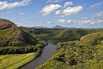 Obraz premium river and forest