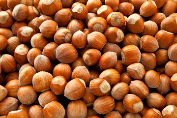 Hazelnuts