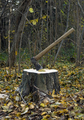 axe and stump