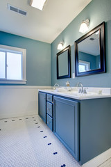 Blue and white classic modern new bathroom.