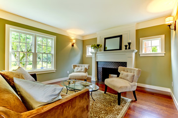 Classic green natural living room.