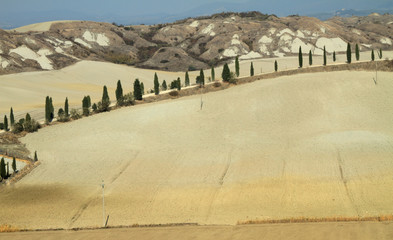 landscape of Crete Senes with the Accona Desert region