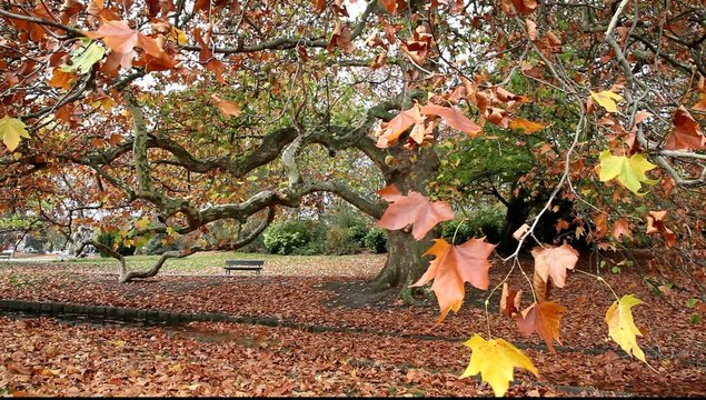nature couleurs