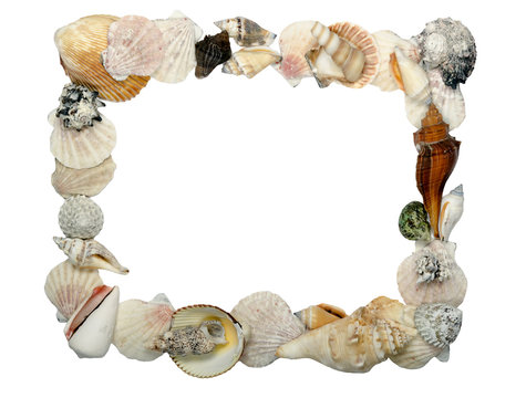 frame made of shells, place for text
