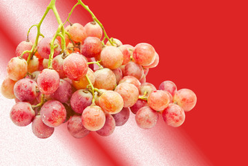 grapes  on red background